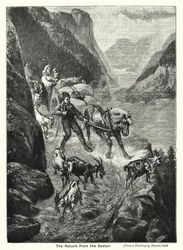 De Terugkeer van de Saeter