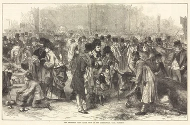 De Smithfield Club Vee Show in de Landbouwhal, Islington