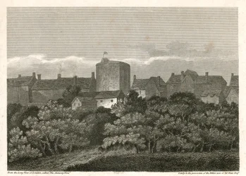 Het Zwanentheater aan de Bankside zoals het verscheen in 1614