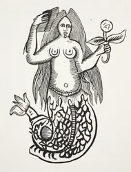 Het Wonder der Wonderen, illustratie uit Chap-books of the Eighteenth Century door John Ashton, gepubliceerd 1882