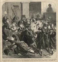 De veeshow in Islington