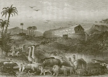 De intocht in de ark