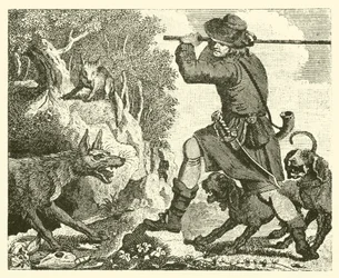De vos en de wolf (gravure)