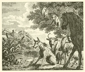 De kikker en de vos (gravure)