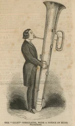 De gigantische Ophicleide, met een bericht van Mons. Prospere
