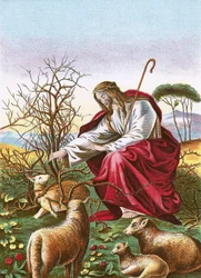 De goede herder
