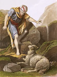 Het verloren schaap