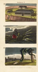 Het paleis van de koning van Dahomey in Abomey 37, een Afrikaanse man die een fetisj verbergt 38, en mensen van Whydah die een enorme slang aanbidden 39
