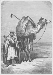 Het schip van de woestijn