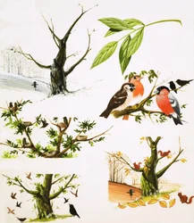 Het jaar van de boom