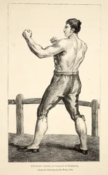 Thomas Cribb, Kampioen van Engeland, naar het schilderij van De Wild