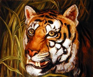 Tijger, tijger brandend fel...