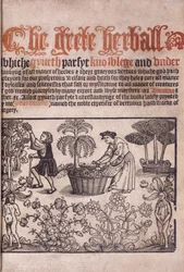 Titelpagina met een tuinscène met figuren