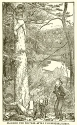 Tom Browns School Days