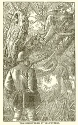 Tom Browns School Days