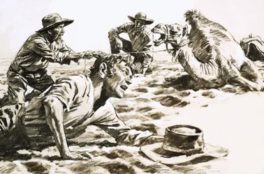 Tweeduizend kilometer in het onbekende