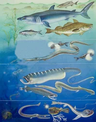 Onderwater wezens montage (gouache op papier)