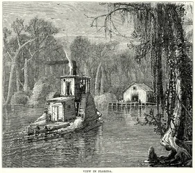 Uitzicht in Florida (gravure)