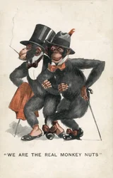 Wij zijn de echte Monkey Nuts