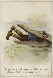 Waarom is een alligator het meest bedrieglijke dier?