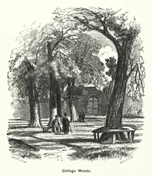 Winchester College: College Meads