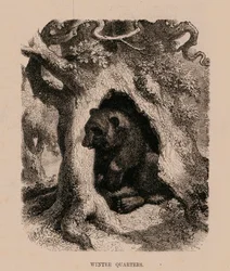 Winters kwartiertje (gravure)