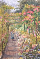 Jong meisje wandelend onder een rozenpergola