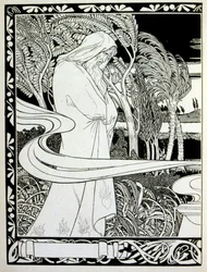 pagina van 