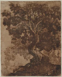 Boom in een Landschap