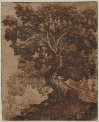 Boom in een Landschap, midden 17e eeuw