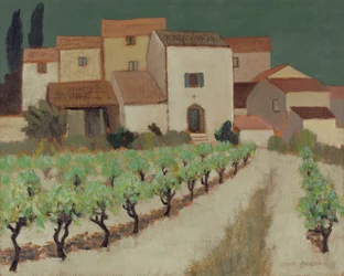 Wijngaard, Provence