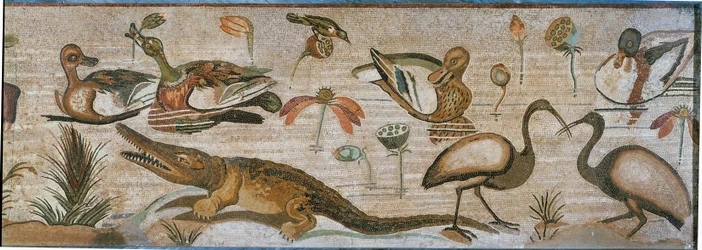 Waterdieren. Deel van een mozaïekband uit Pompeii, Italië