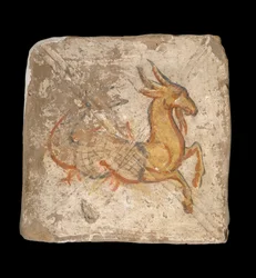 Steenbok 244-245 CE ...
