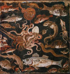 Onderzeese fauna. Mozaïek van Pompeii, Italië