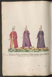 De serail van de sultana: eunuchen