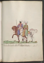 De serail van de sultana: eunuchen te paard ...