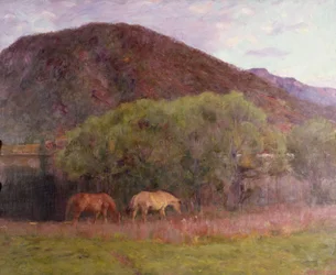 Zomeravond in Kviteseid, 1893