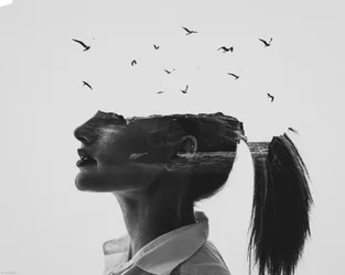 Ocean Mind