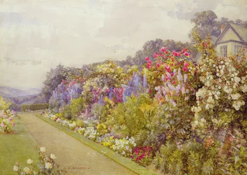 Delphinium Border, bij 