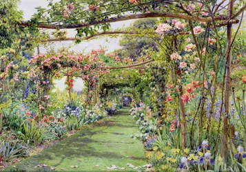 De rozenpergola, Blackhurst House, Tunbridge Wells, Kent