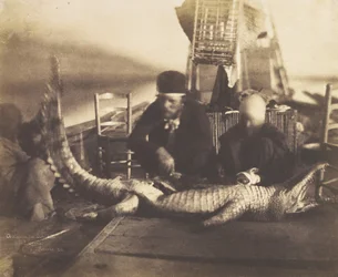 Autopsie van de eerste krokodil aan boord, Opper-Egypte, 1852