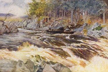 Zalmvissen op de Ken, een kritiek moment