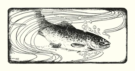 Zalm gevangen