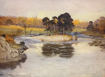 Het dennenboomeiland onder de Linn