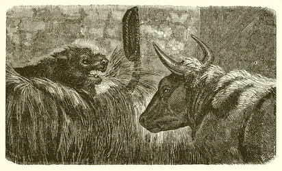 De hond in de kribbe