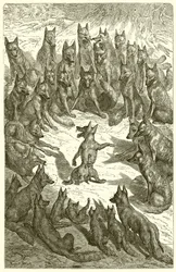 De vos zonder staart