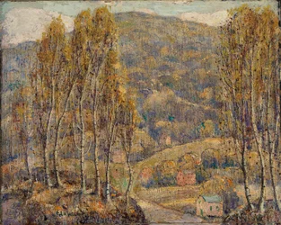 Beuken