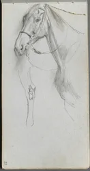 Schetsboek, pagina 55: Studie voor een paard