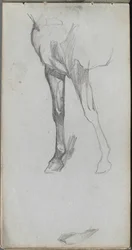 Schetsboek, pagina 66: Studie van een paard