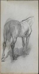 Schetsboek, pagina 76: Studie van een paard